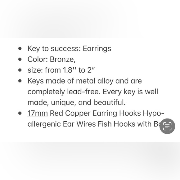 Copper Keys To Success Earrings

BUNDLE PURCHASE MORE & SAVE ON SHIPPING! - Picture 4 of 5